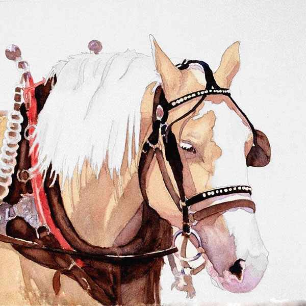 Sadie by Sandy Lynn Wisecup